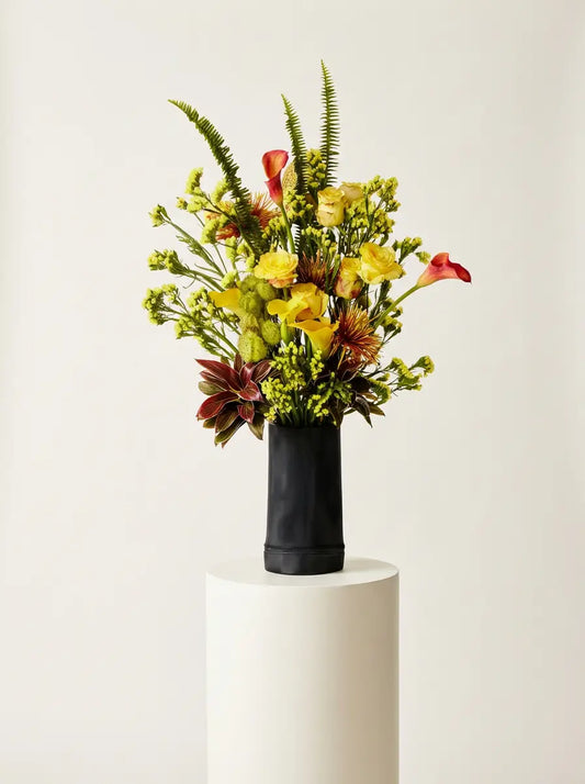 AURORA 05